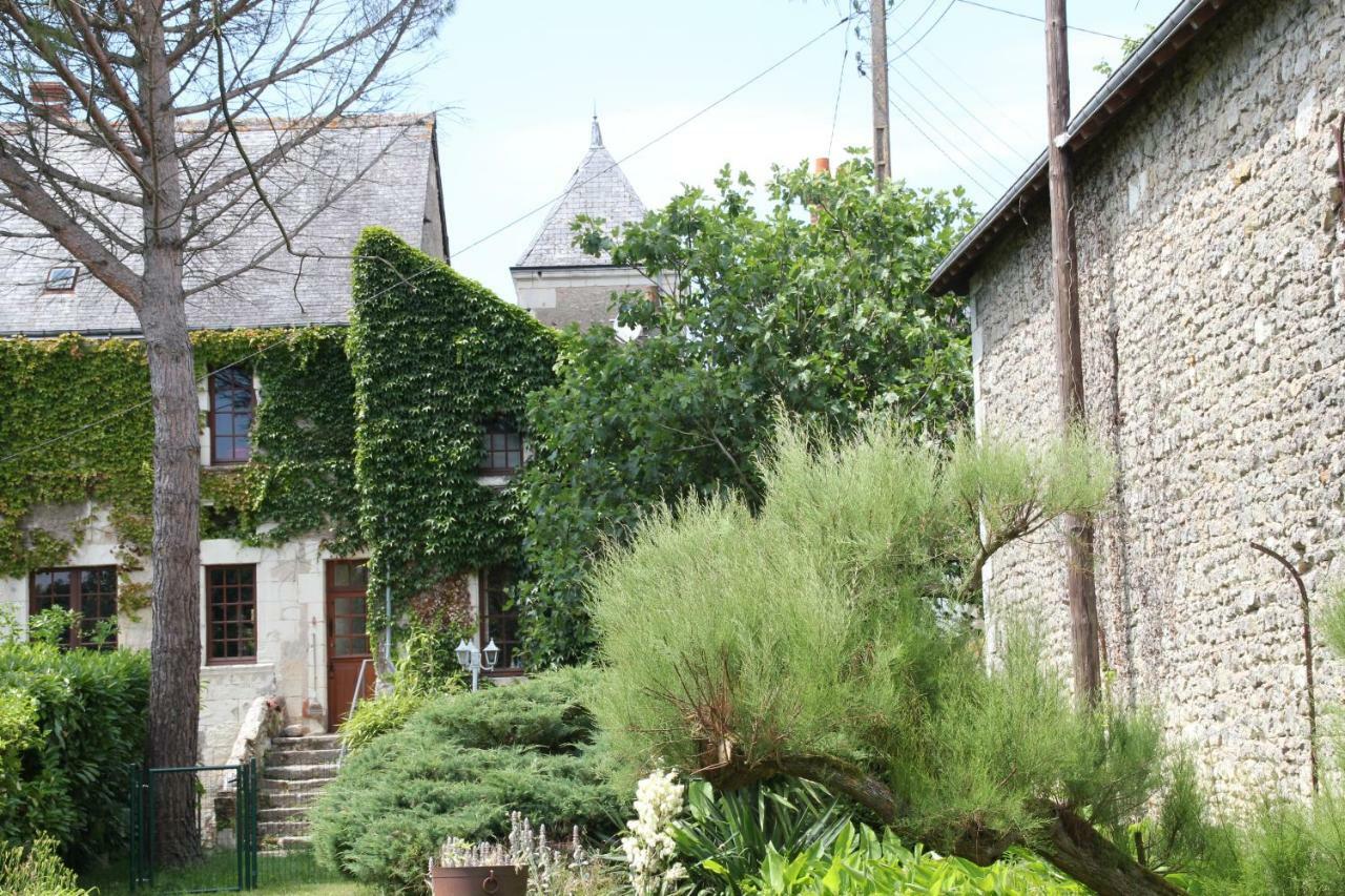 Villa Au près du Lys à Saint-Martin-le-Beau Extérieur photo